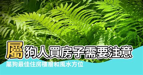 屬狗樓層|屬狗的人住什麼房子、樓層、方位最吉利？準的離譜！